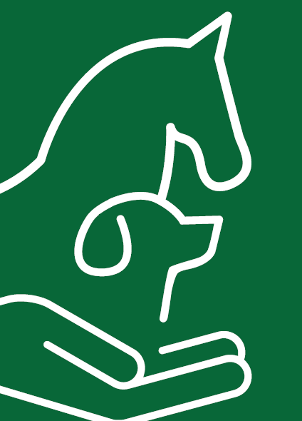 Zurück zur Startseite